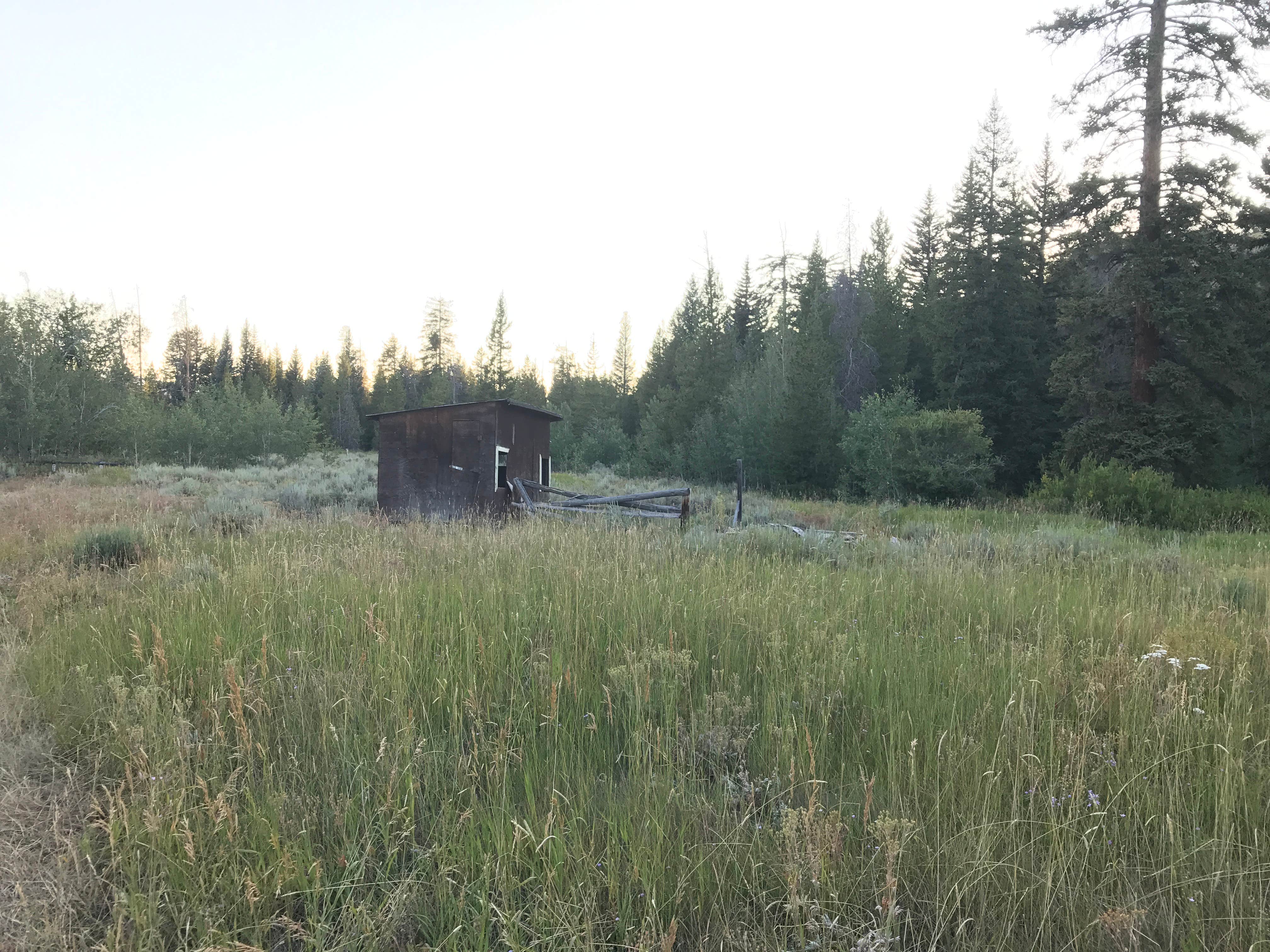 Camper submitted image from Bridger-Teton National Forest - 5