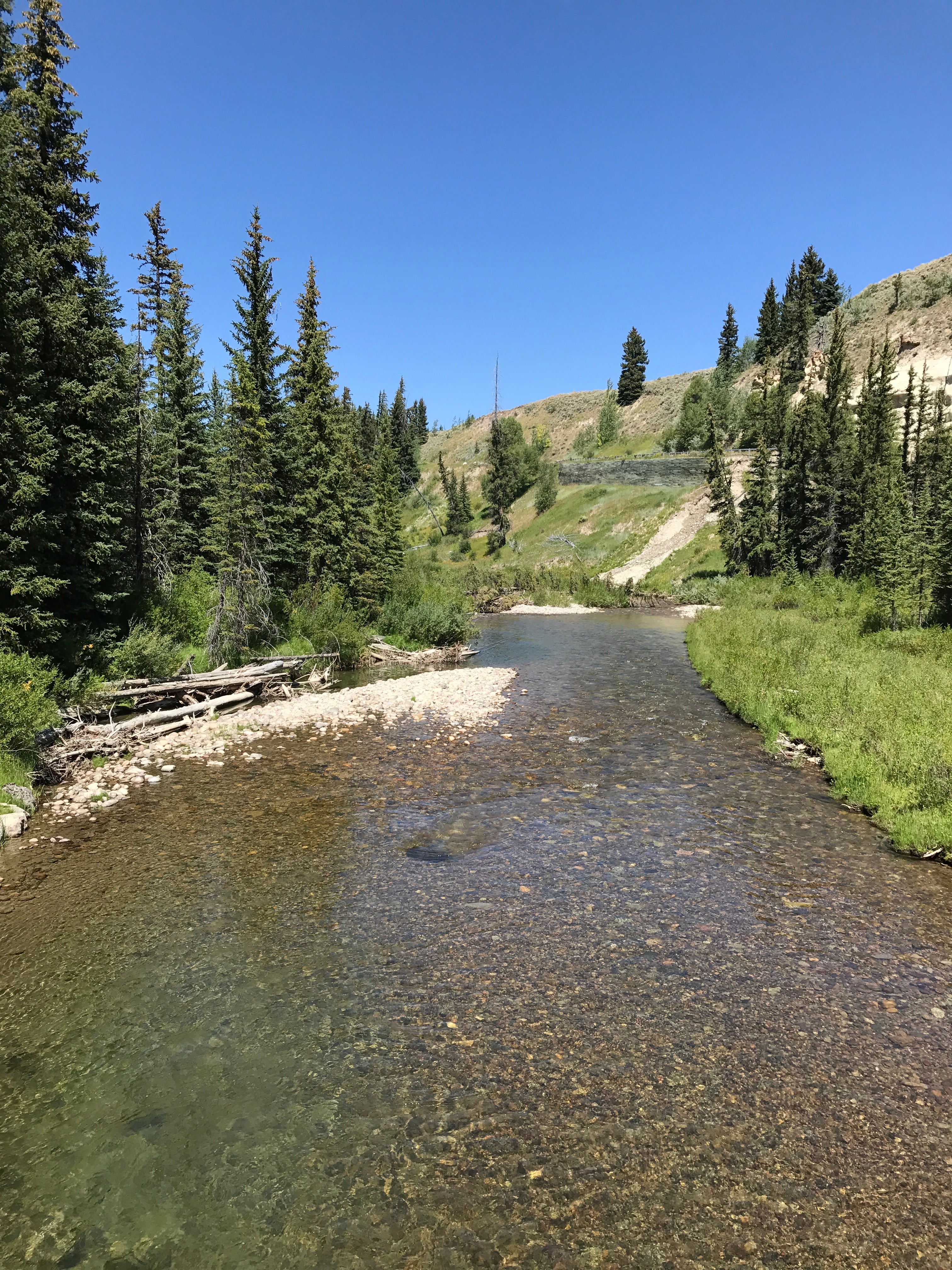 Camper submitted image from Bridger-Teton National Forest - 4