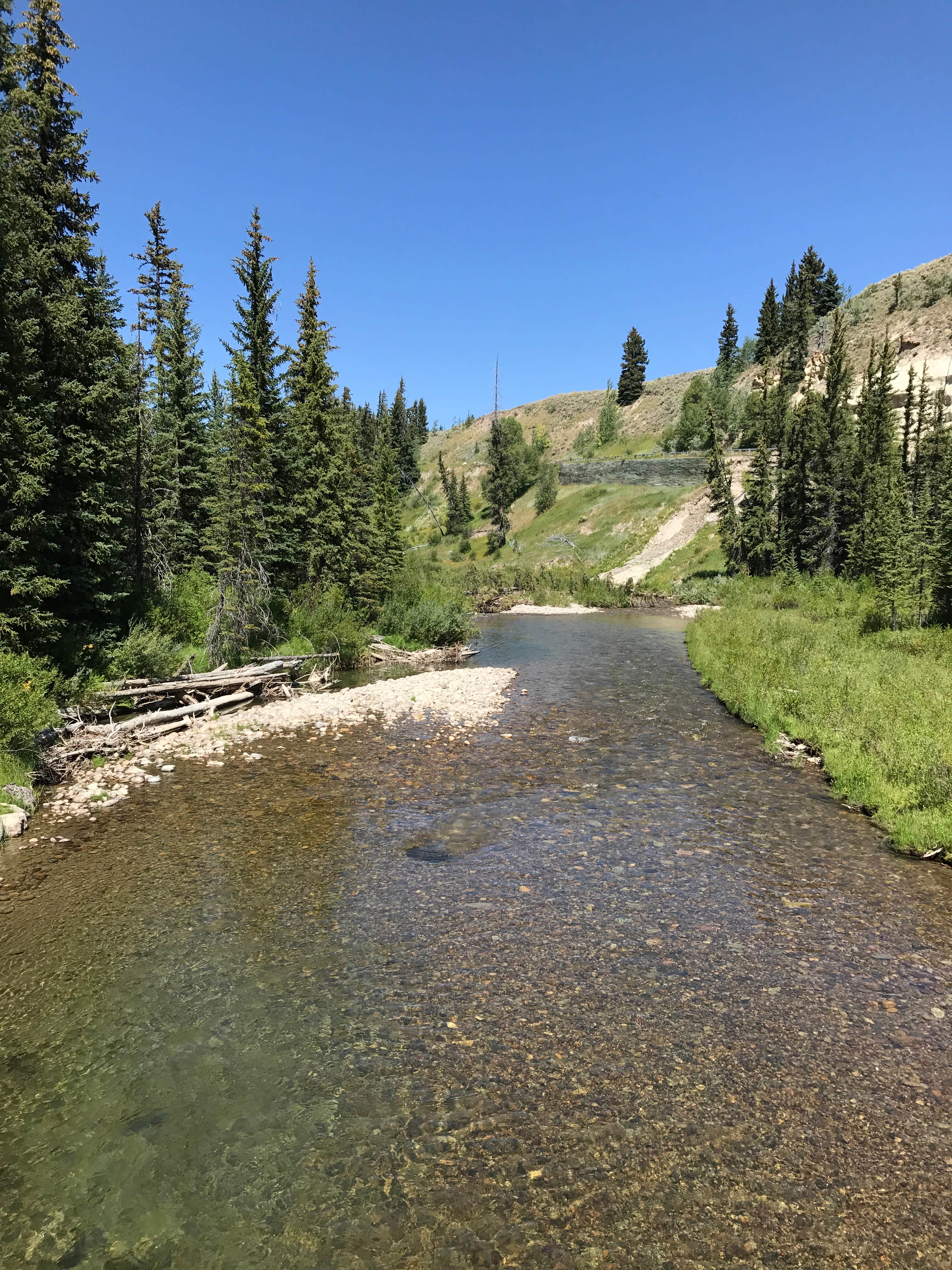 Camper submitted image from Bridger-Teton National Forest - 5