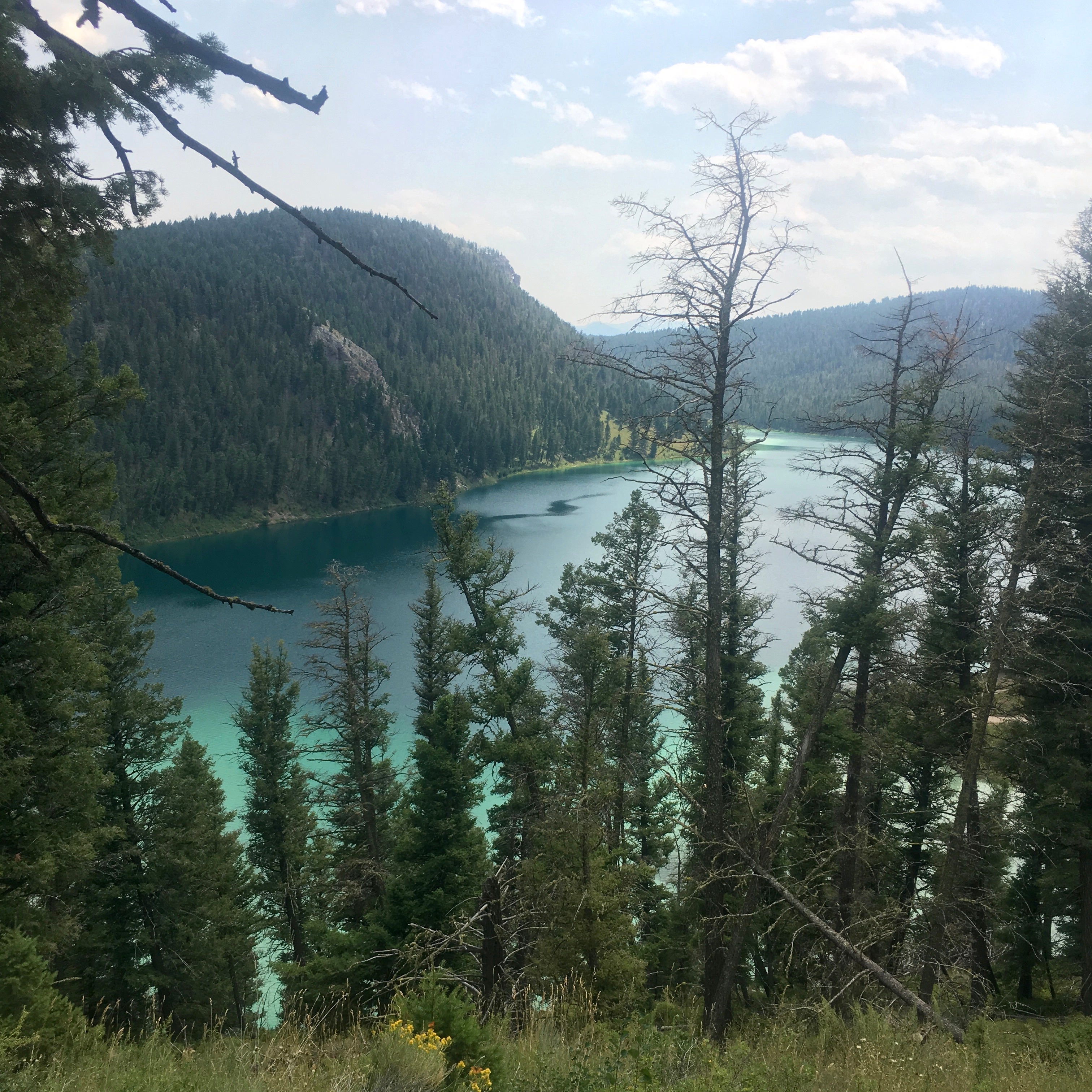Camper submitted image from Beaverhead National Forest Wade Lake Campground and Picnic Area - 2
