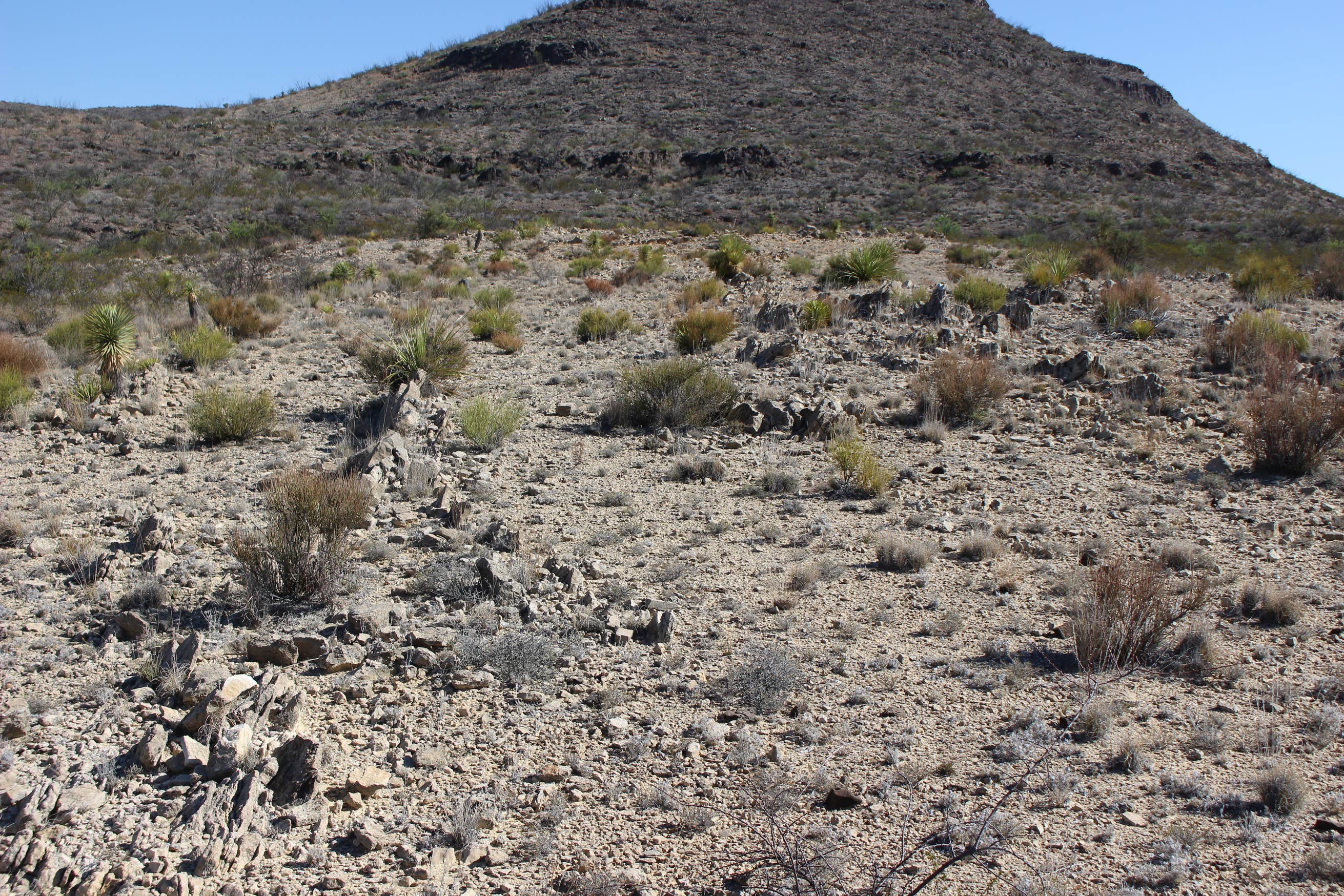 Big Bend Ranch State Park Interior Primitive Sites Camping The Dyrt