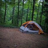 Review photo of Brandywine Lake Campground — Shenandoah Wildlife Management Area by Anne M., August 31, 2017