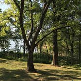 Review photo of Rock Cut State Park - Staghorn Campground by Melissa B., August 31, 2017