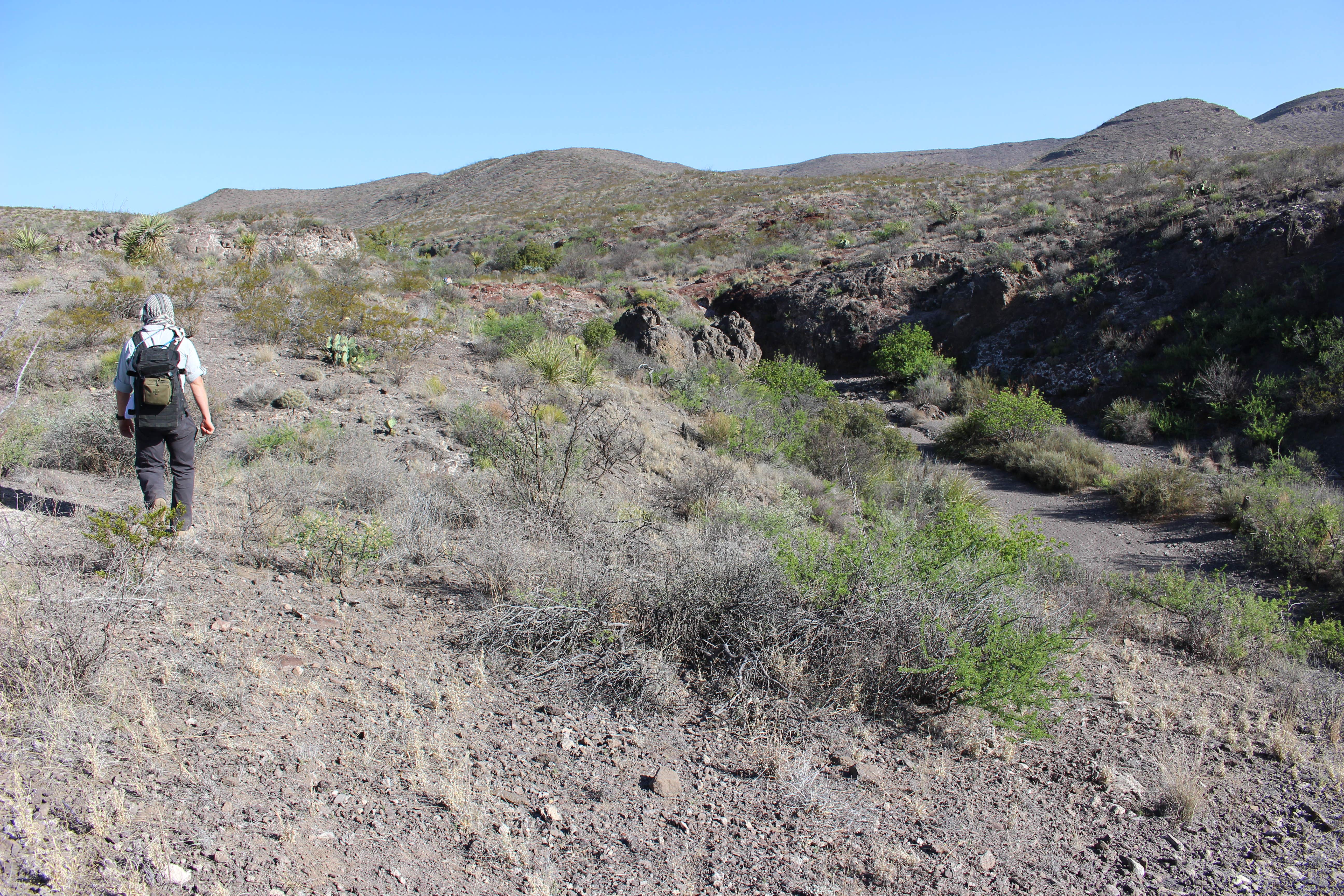 Camper submitted image from Interior Primitive Sites — Big Bend Ranch State Park - 2