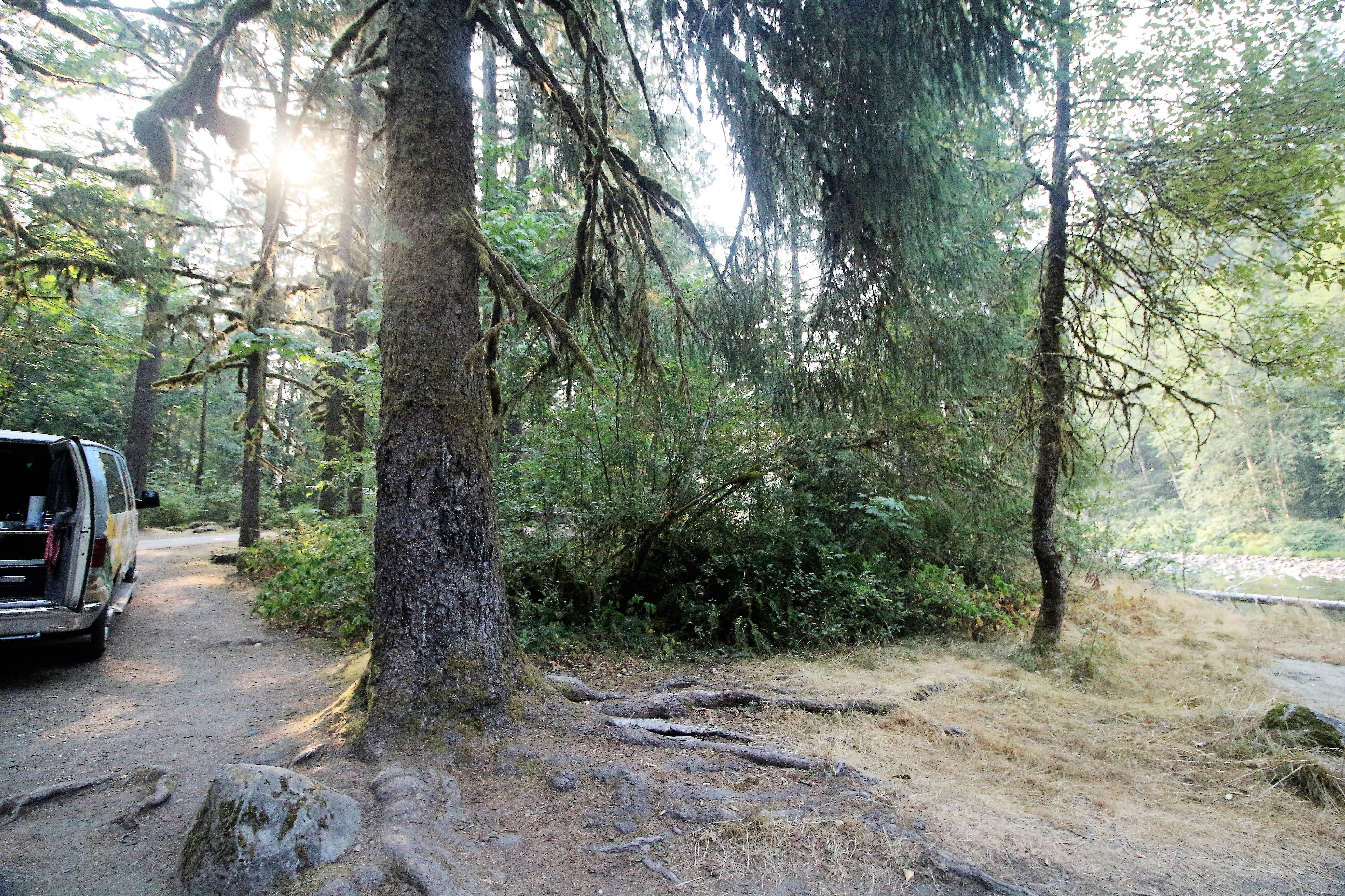 Camper submitted image from Verlot Campground - 4