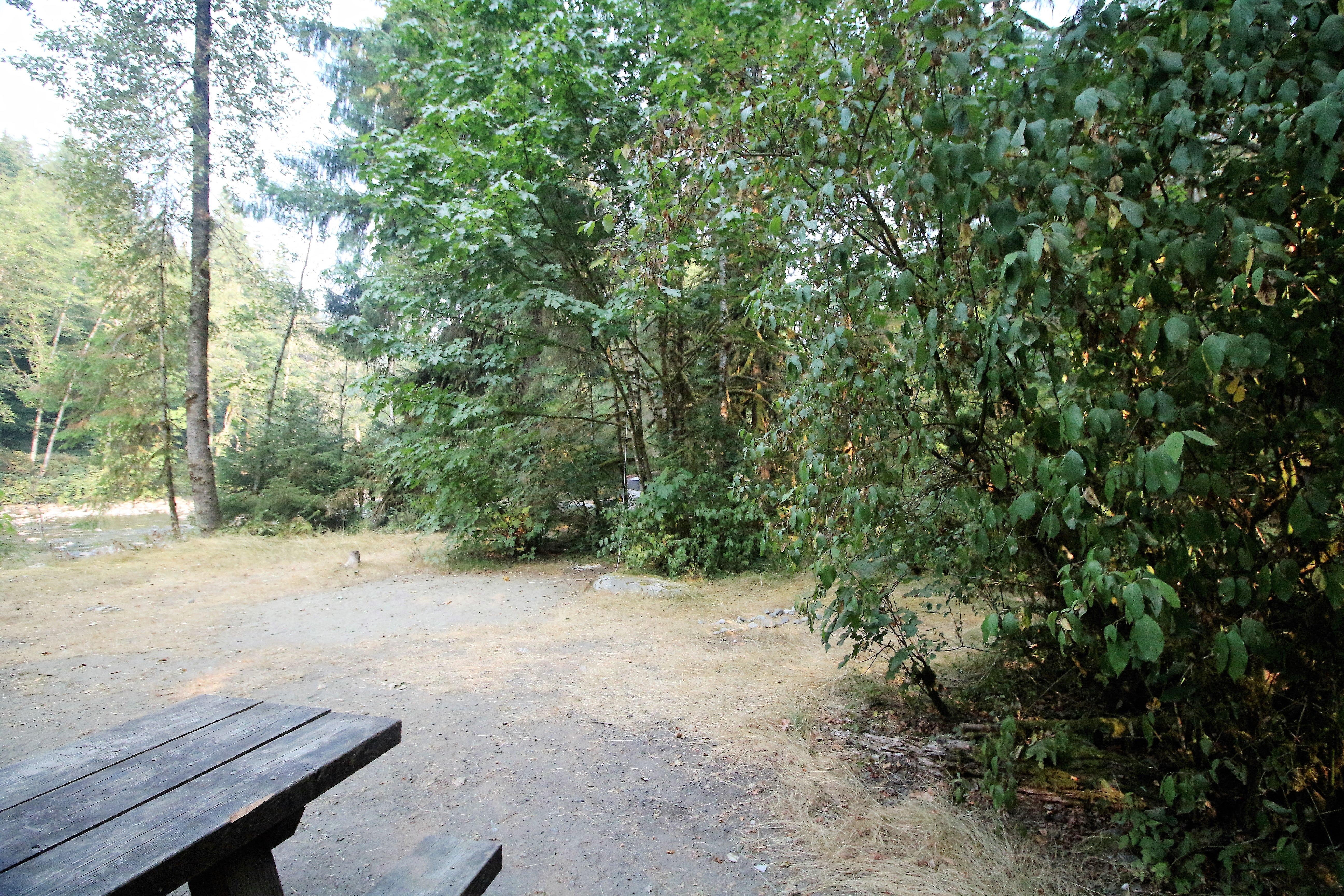 Camper submitted image from Verlot Campground - 3