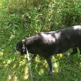 Review photo of Adeline Jay-Geo Karis Illinois Beach State Park by Melissa B., August 31, 2017