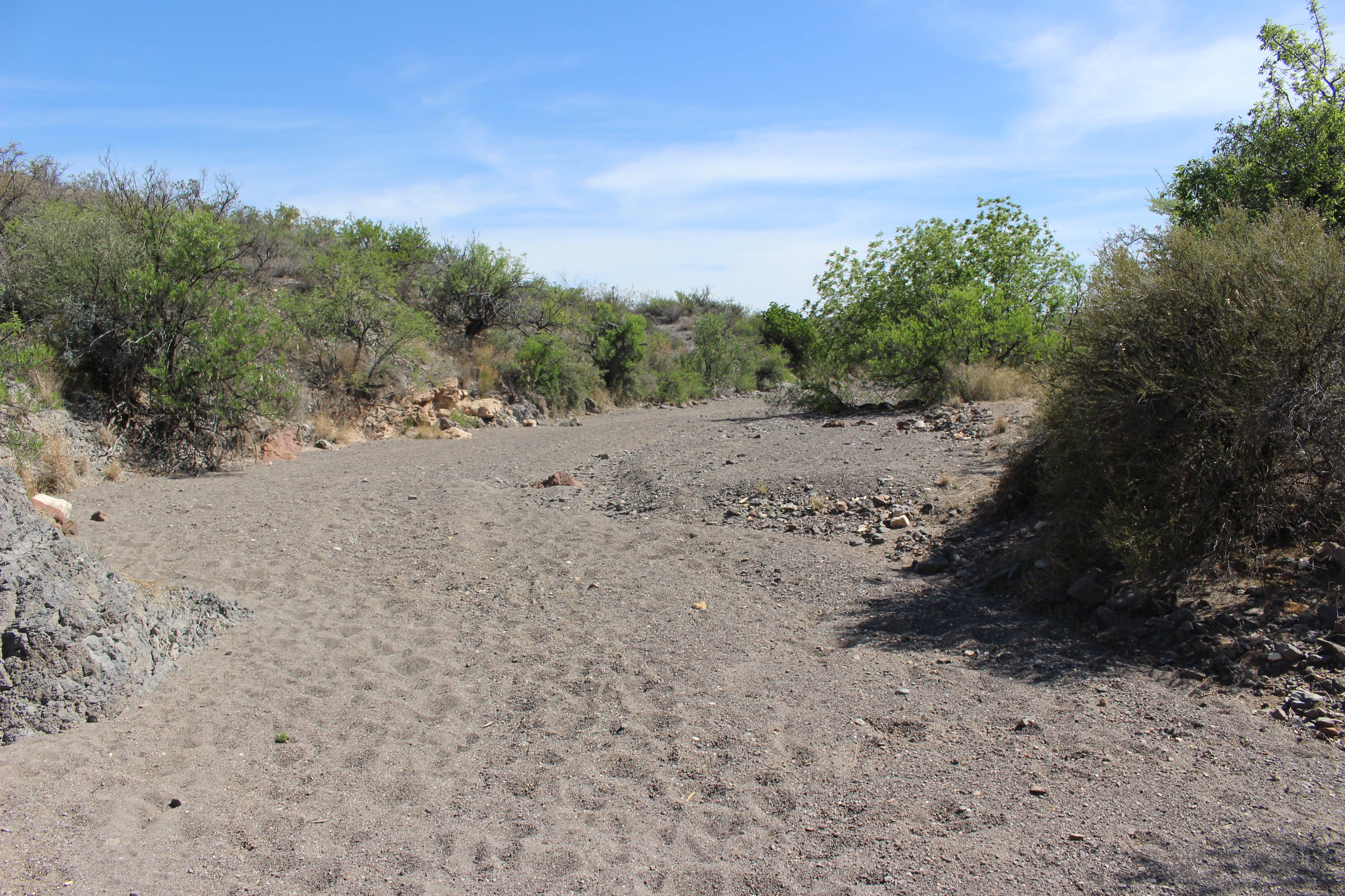 Camper submitted image from Interior Primitive Sites — Big Bend Ranch State Park - 3