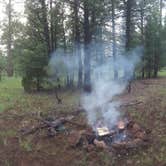 Review photo of Brown Creek Campground by Krista Z., August 31, 2017