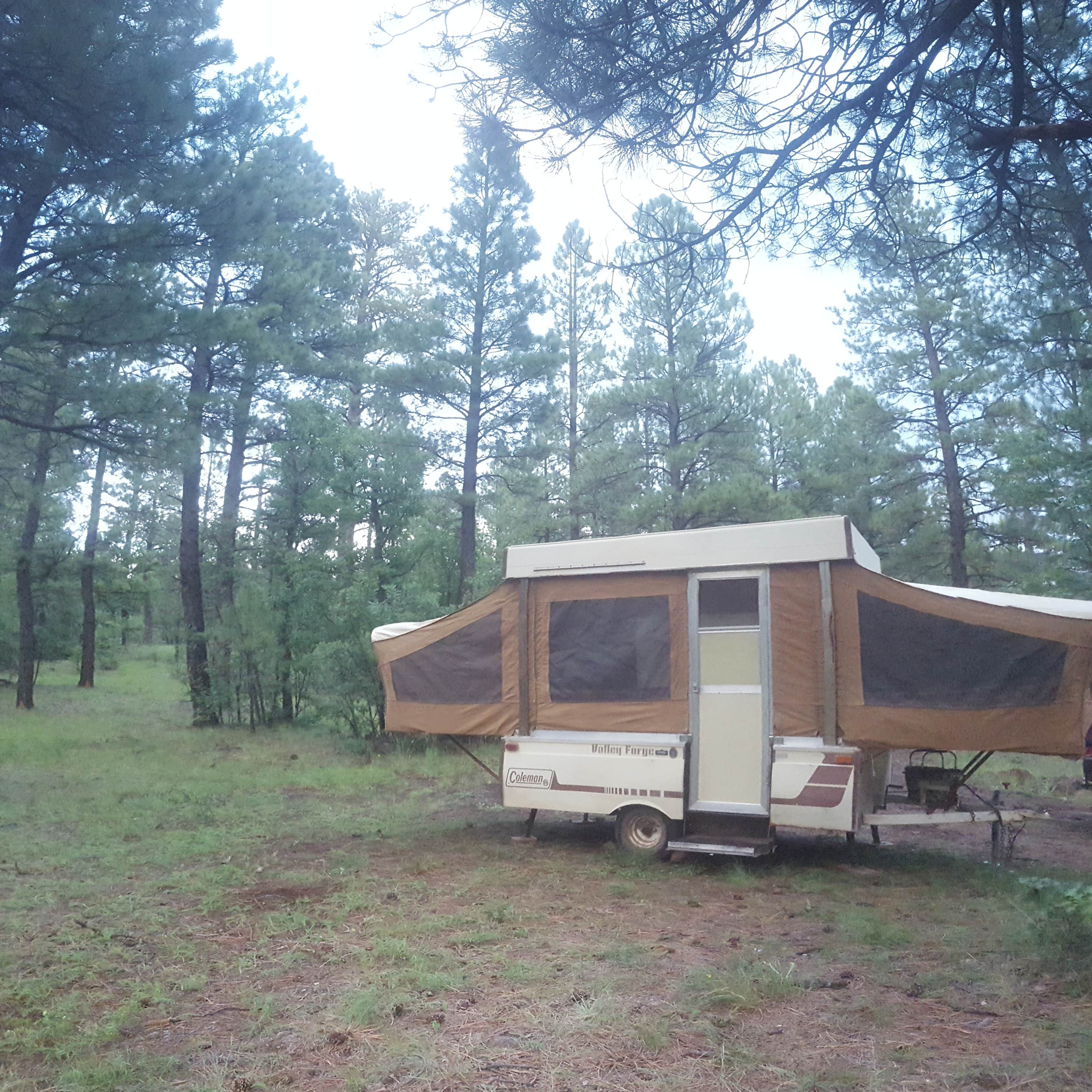 Escape to Tranquility: Arizona's Brown Creek Campground