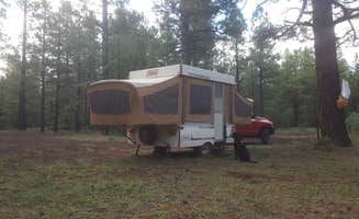 Krista Z.'s photo of tent camping at Brown Creek Campground near Apache-Sitgreaves National Forest