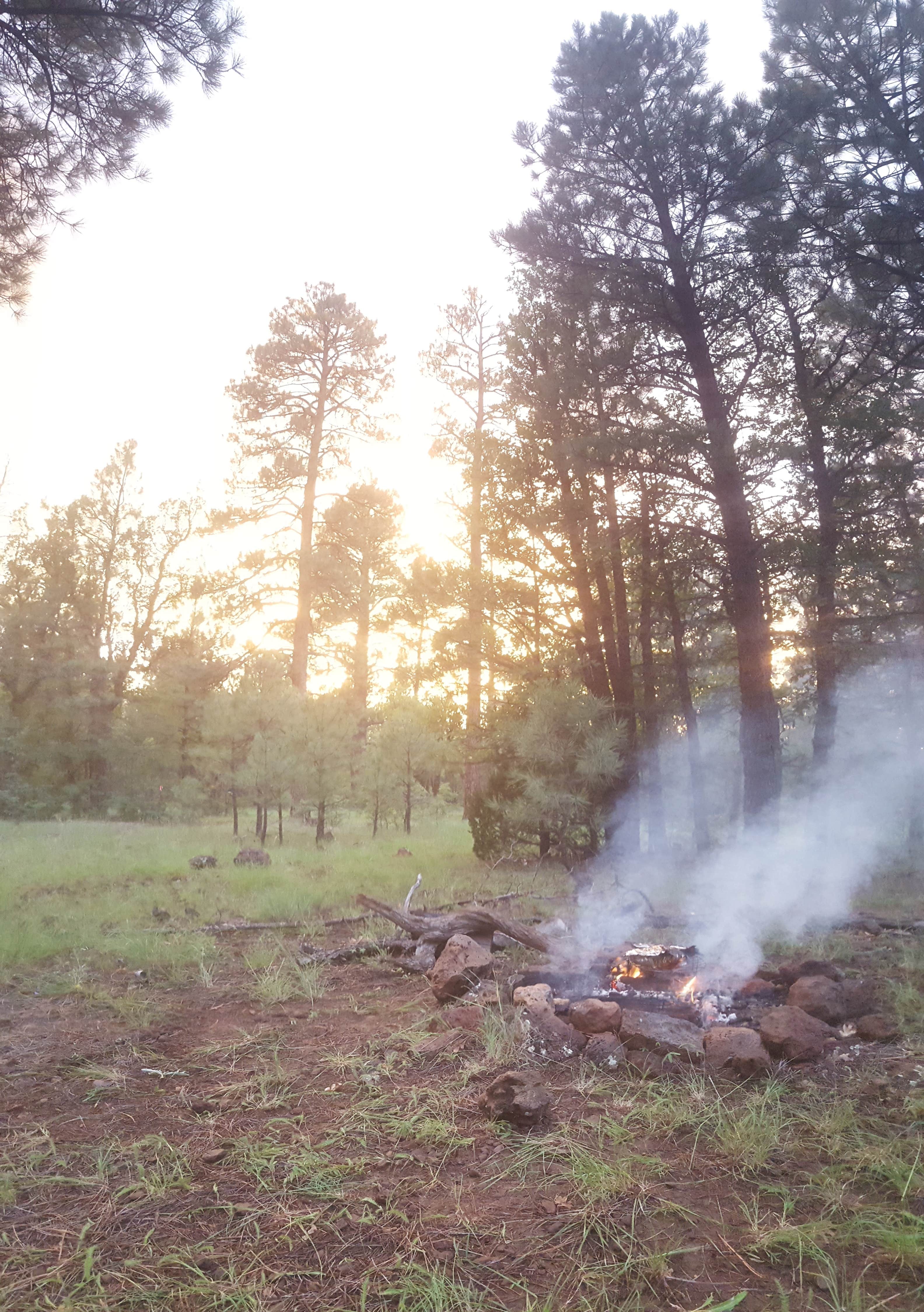 Escape To Tranquility: Arizona’s Brown Creek Campground
