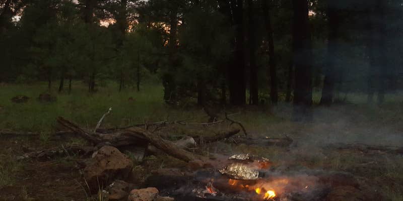 Camper submitted image from Brown Creek Campground