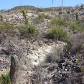 Review photo of Interior Primitive Sites — Big Bend Ranch State Park by Stephanie E., June 30, 2016