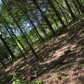 Review photo of Adair Cemetery Primitive Campsite — Buffalo National River by Ethan K., September 1, 2017