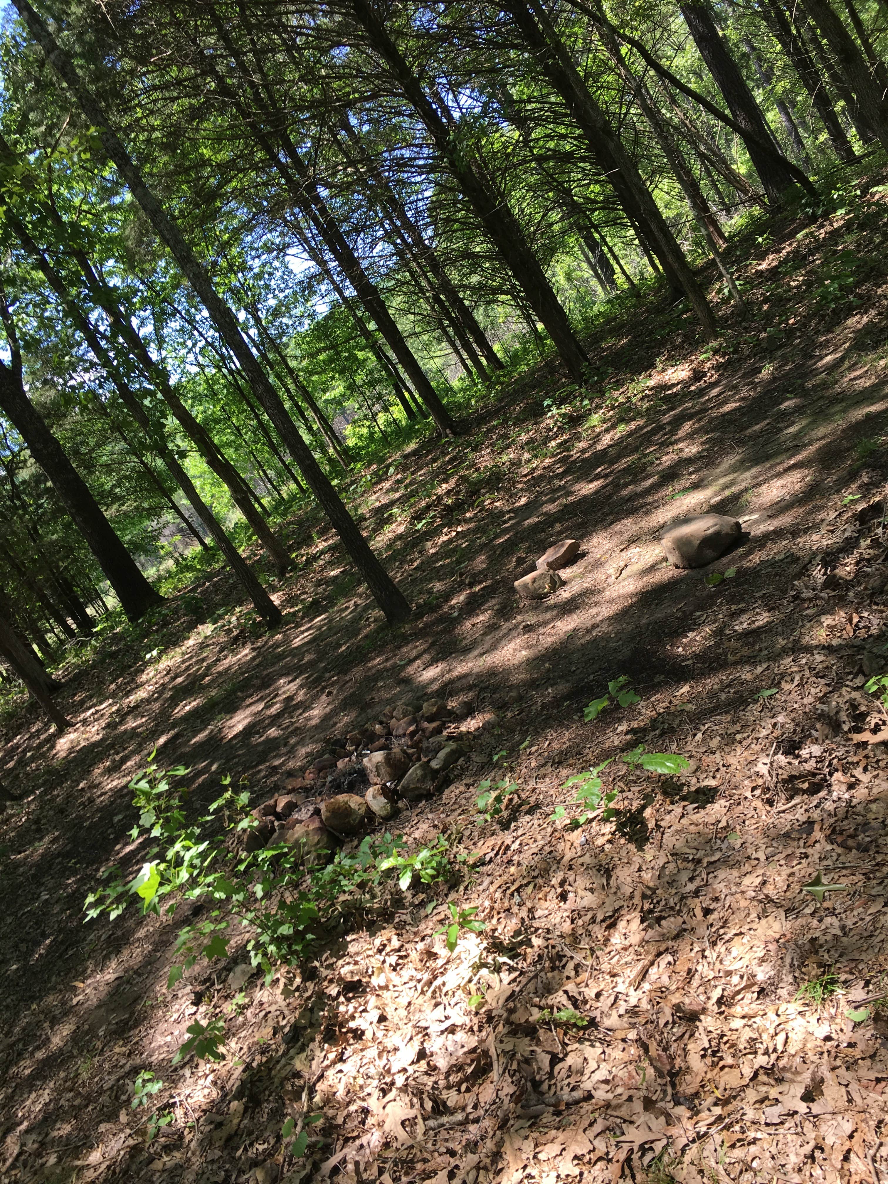 Camper submitted image from Adair Cemetery Primitive Campsite — Buffalo National River - 2
