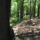 Review photo of Adair Cemetery Primitive Campsite — Buffalo National River by Ethan K., September 1, 2017