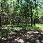 Review photo of Adair Cemetery Primitive Campsite — Buffalo National River by Ethan K., September 1, 2017