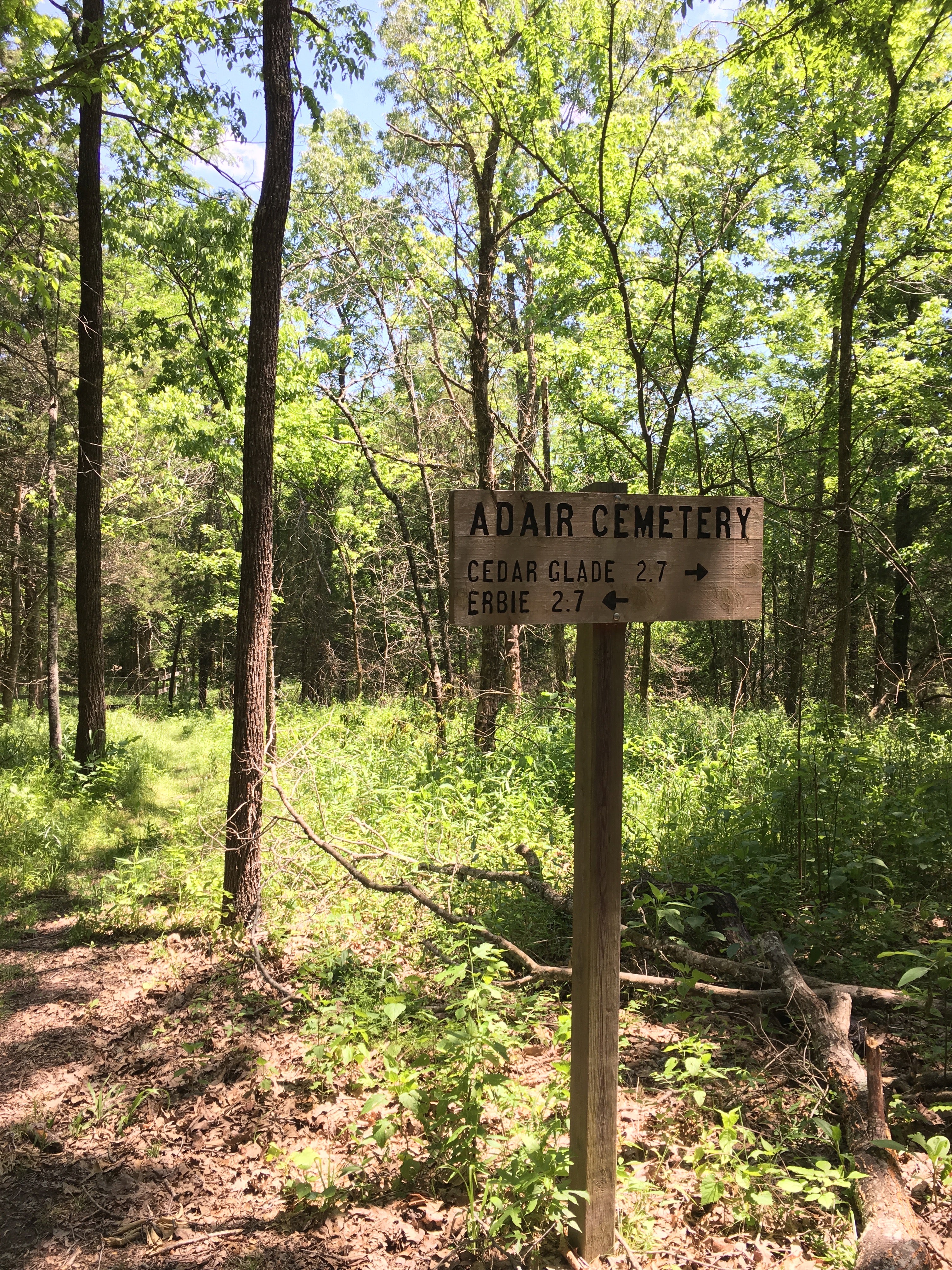 Sign seen from trail