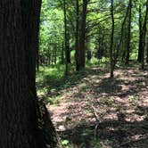 Review photo of Adair Cemetery Primitive Campsite — Buffalo National River by Ethan K., September 1, 2017
