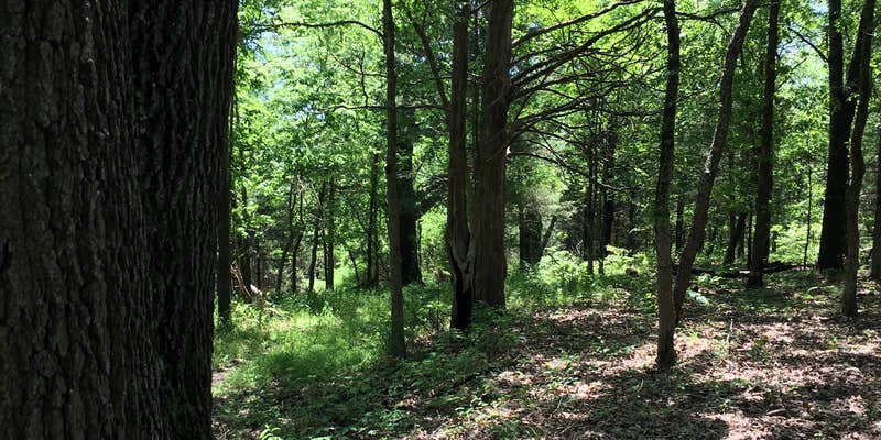Camper submitted image from Adair Cemetery Primitive Campsite — Buffalo National River