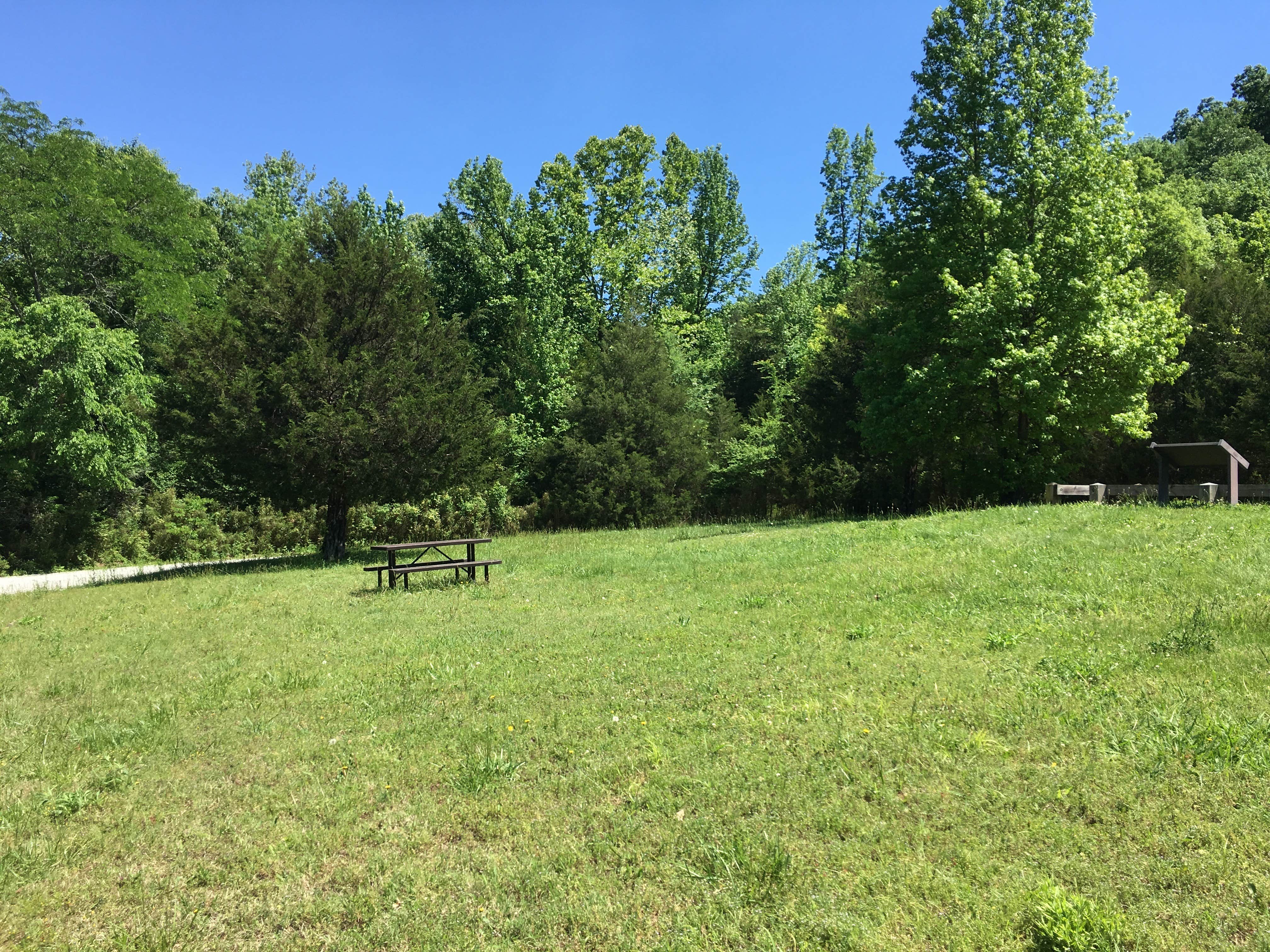 Camper-submitted photo at Erbie Campground — Buffalo National River near Rockaway Beach, MO