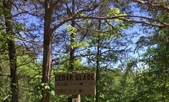 Camping near Nature's Freedom RV: Cedar Glade Primitive Camping — Buffalo National River, Marble Falls, Arkansas