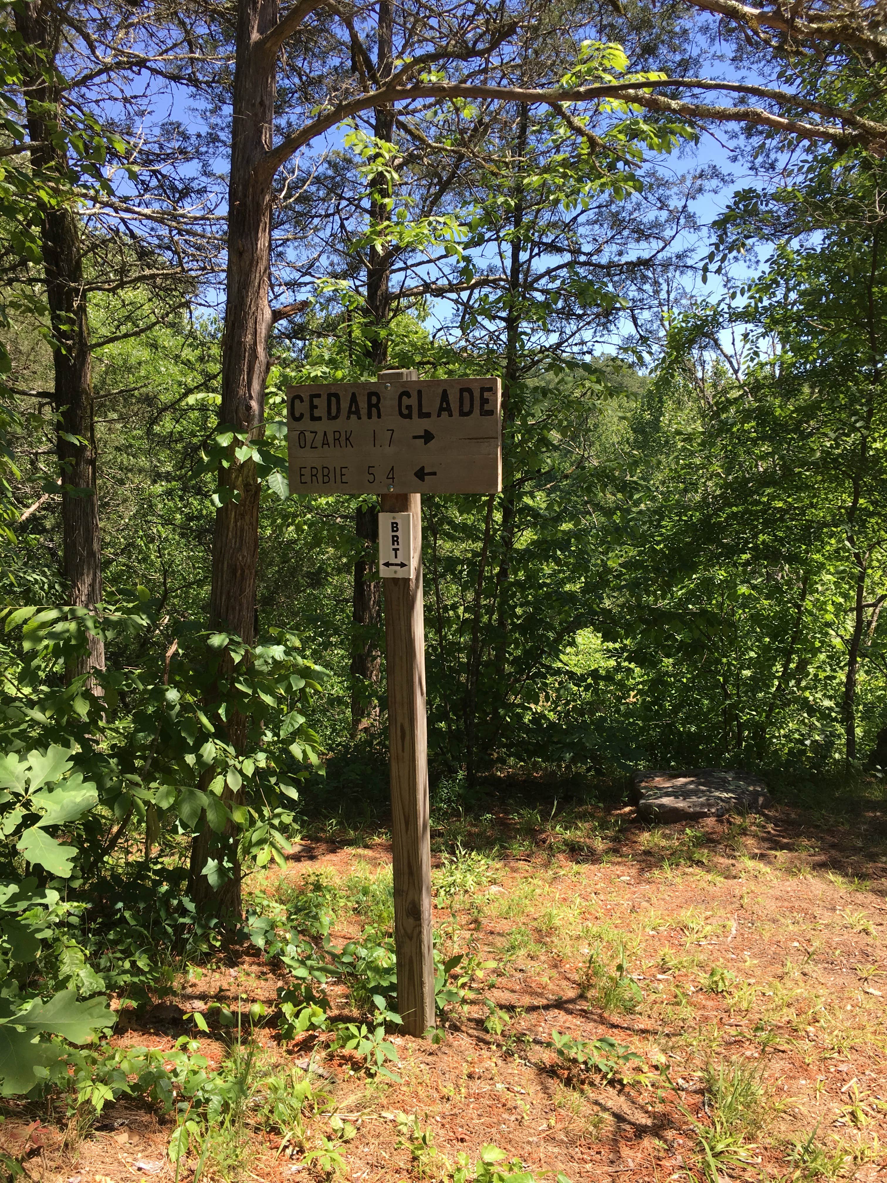 Camper submitted image from Cedar Glade Primitive Camping — Buffalo National River - 1
