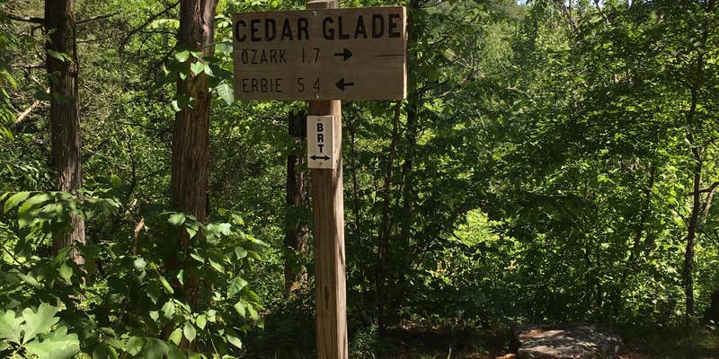 Camper submitted image from Cedar Glade Primitive Camping — Buffalo National River