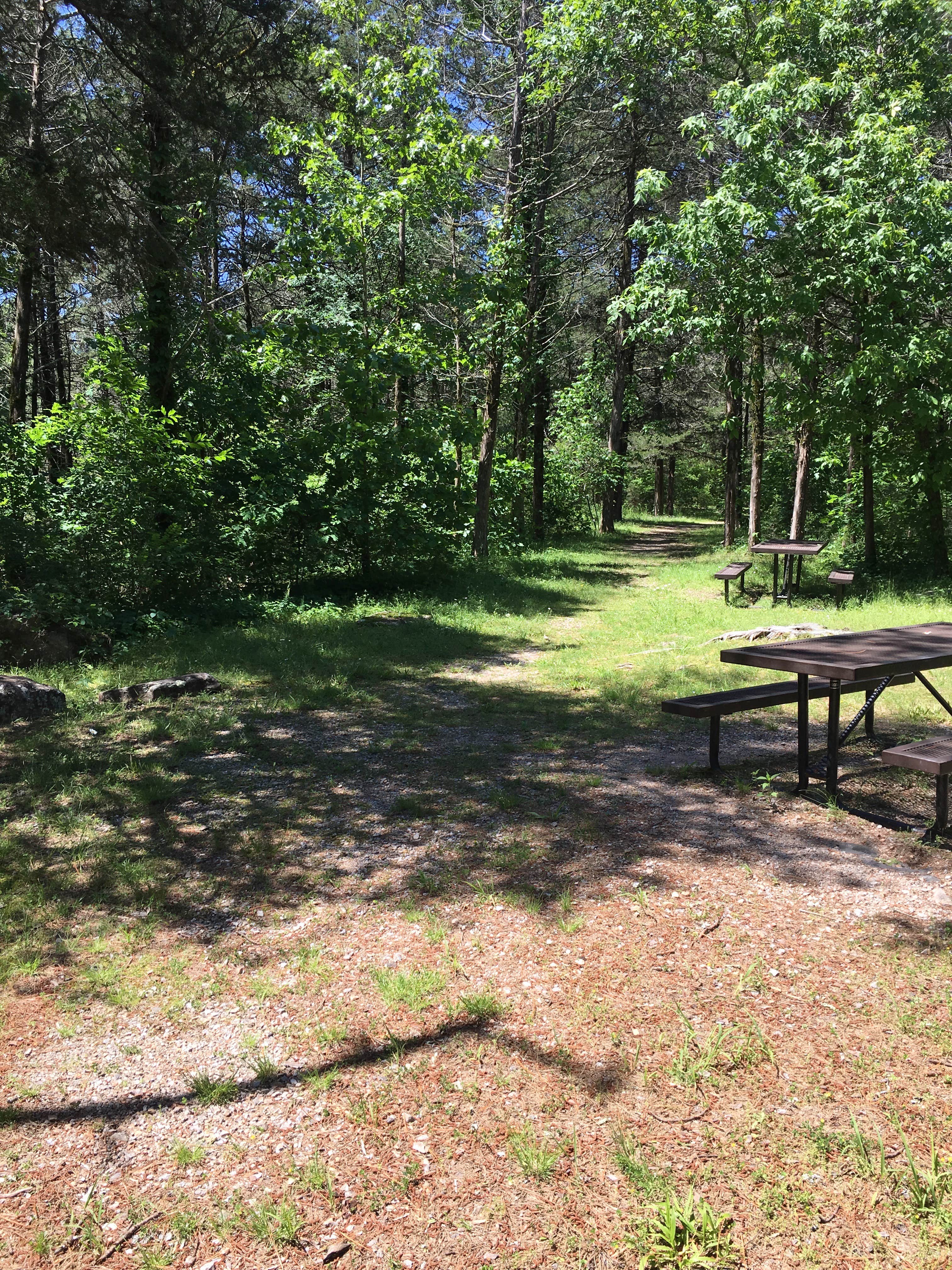 Camper submitted image from Cedar Glade Primitive Camping — Buffalo National River - 3