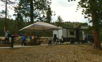 Colette K.'s photo at McWilliams Campground near Mount Charleston, NV
