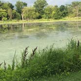 Review photo of Rock Cut State Park - Staghorn Campground by Melissa B., September 1, 2017