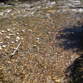 Review photo of Rock Cut State Park - Staghorn Campground by Melissa B., September 1, 2017