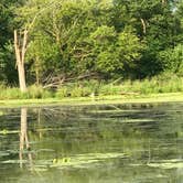 Review photo of Rock Cut State Park - Staghorn Campground by Melissa B., September 1, 2017