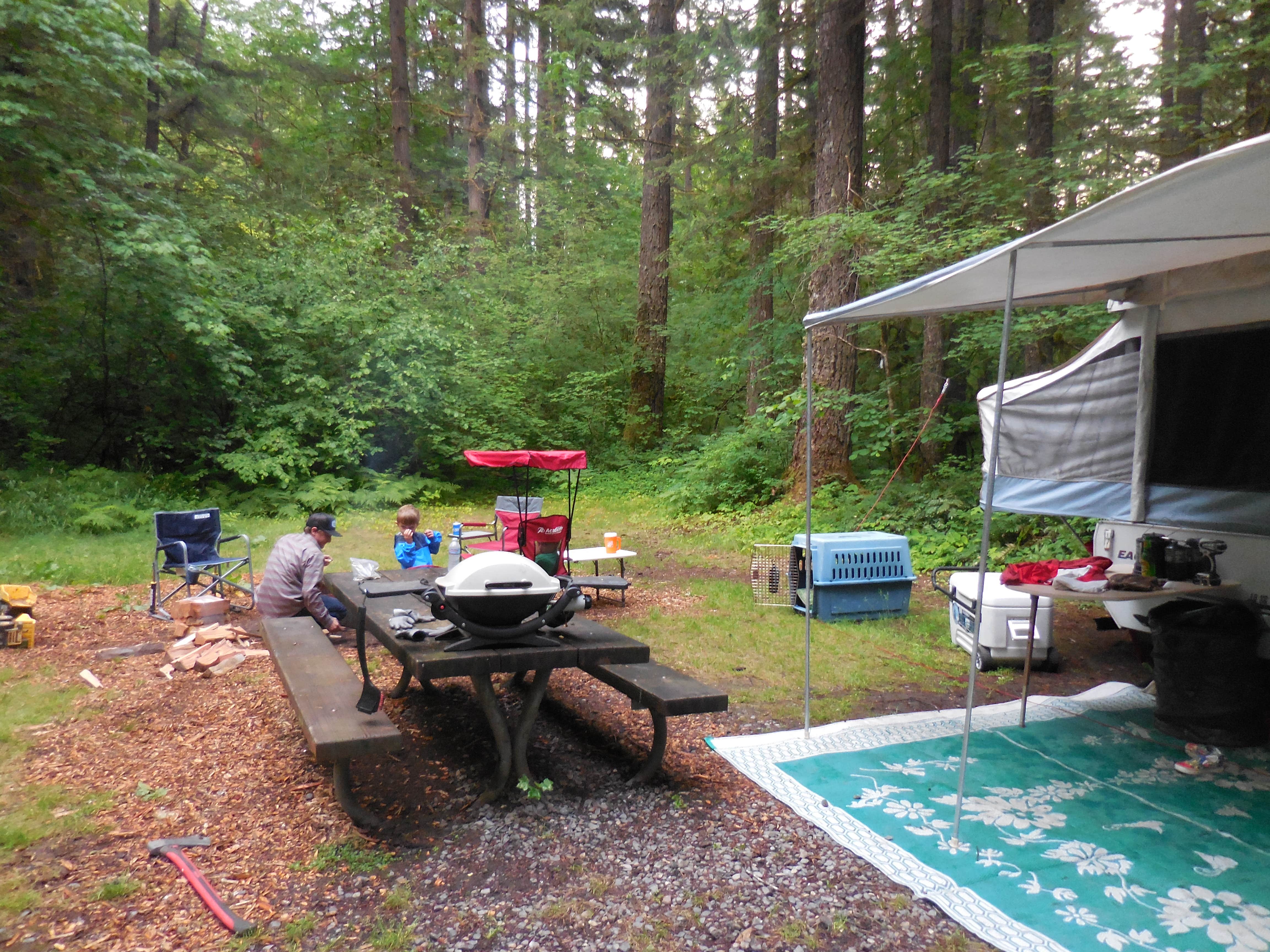 Jill T.'s photo at Swift Forest Camp near Cougar, WA