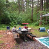 Review photo of Swift Forest Camp by Jill T., June 30, 2016