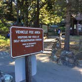 Review photo of Pantoll Campground — Mount Tamalpais State Park by Asher K., September 1, 2017