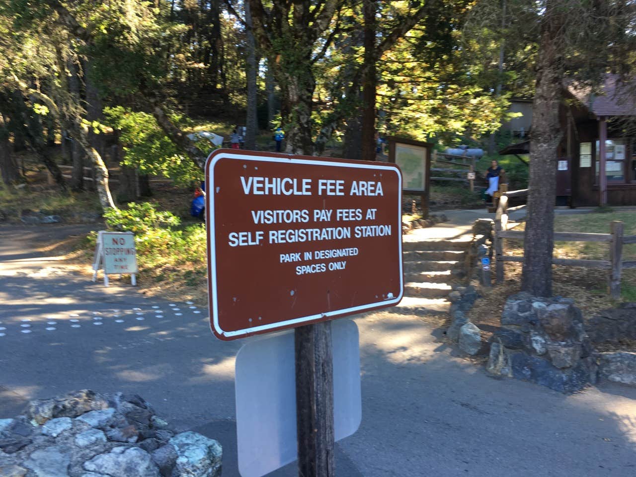 Camper submitted image from Pantoll Campground — Mount Tamalpais State Park - 5