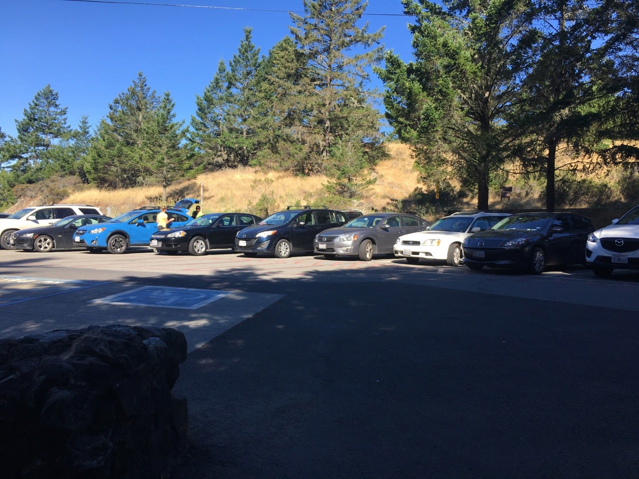 Camper submitted image from Pantoll Campground — Mount Tamalpais State Park - 3