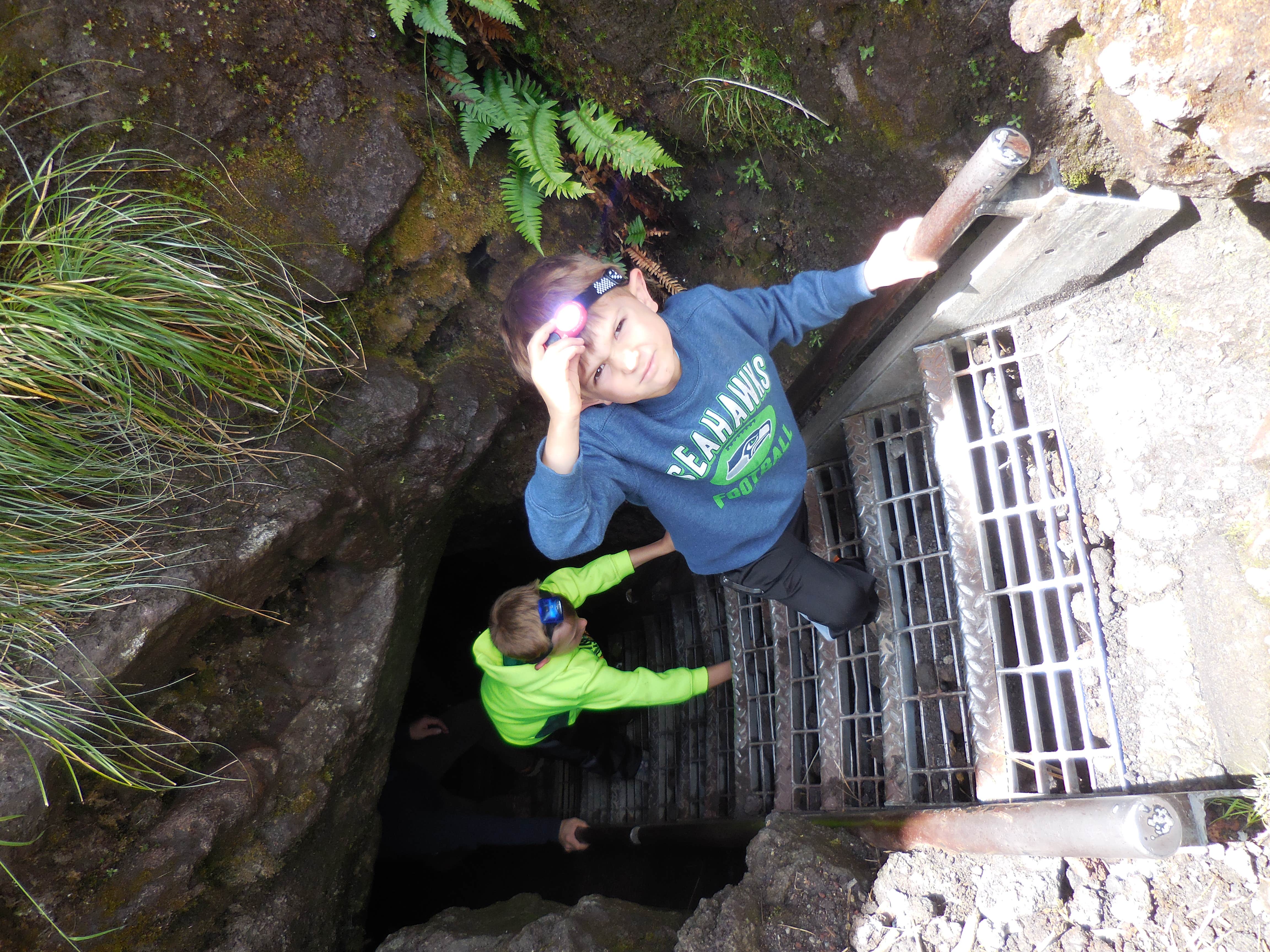 Camper submitted image from Swift Forest Camp - 5