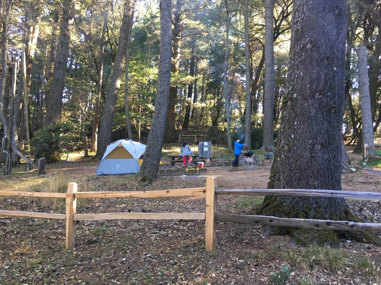 Asher K.'s photo of tent camping at Pantoll Campground — Mount Tamalpais State Park near Larkspur, CA