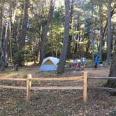 Review photo of Pantoll Campground — Mount Tamalpais State Park by Asher K., September 1, 2017