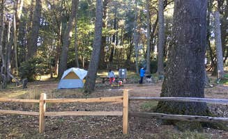 Asher K.'s photo of tent camping at Pantoll Campground — Mount Tamalpais State Park near Brisbane, CA