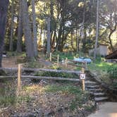 Review photo of Pantoll Campground — Mount Tamalpais State Park by Asher K., September 1, 2017