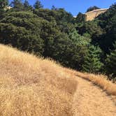 Review photo of Pantoll Campground — Mount Tamalpais State Park by Asher K., September 1, 2017