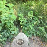Review photo of Pantoll Campground — Mount Tamalpais State Park by Asher K., September 1, 2017