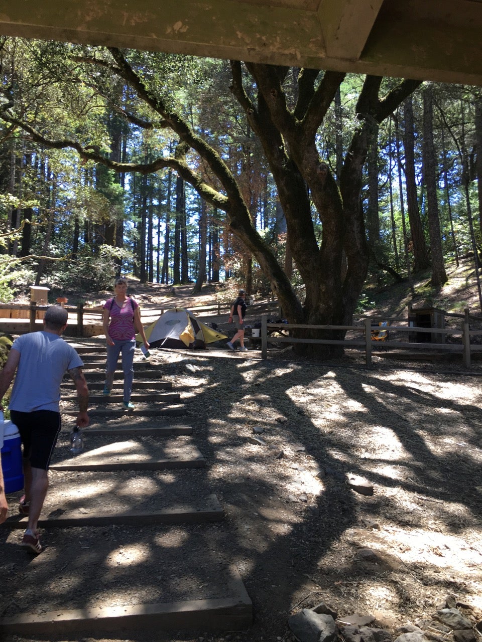 Camper submitted image from Pantoll Campground — Mount Tamalpais State Park - 5