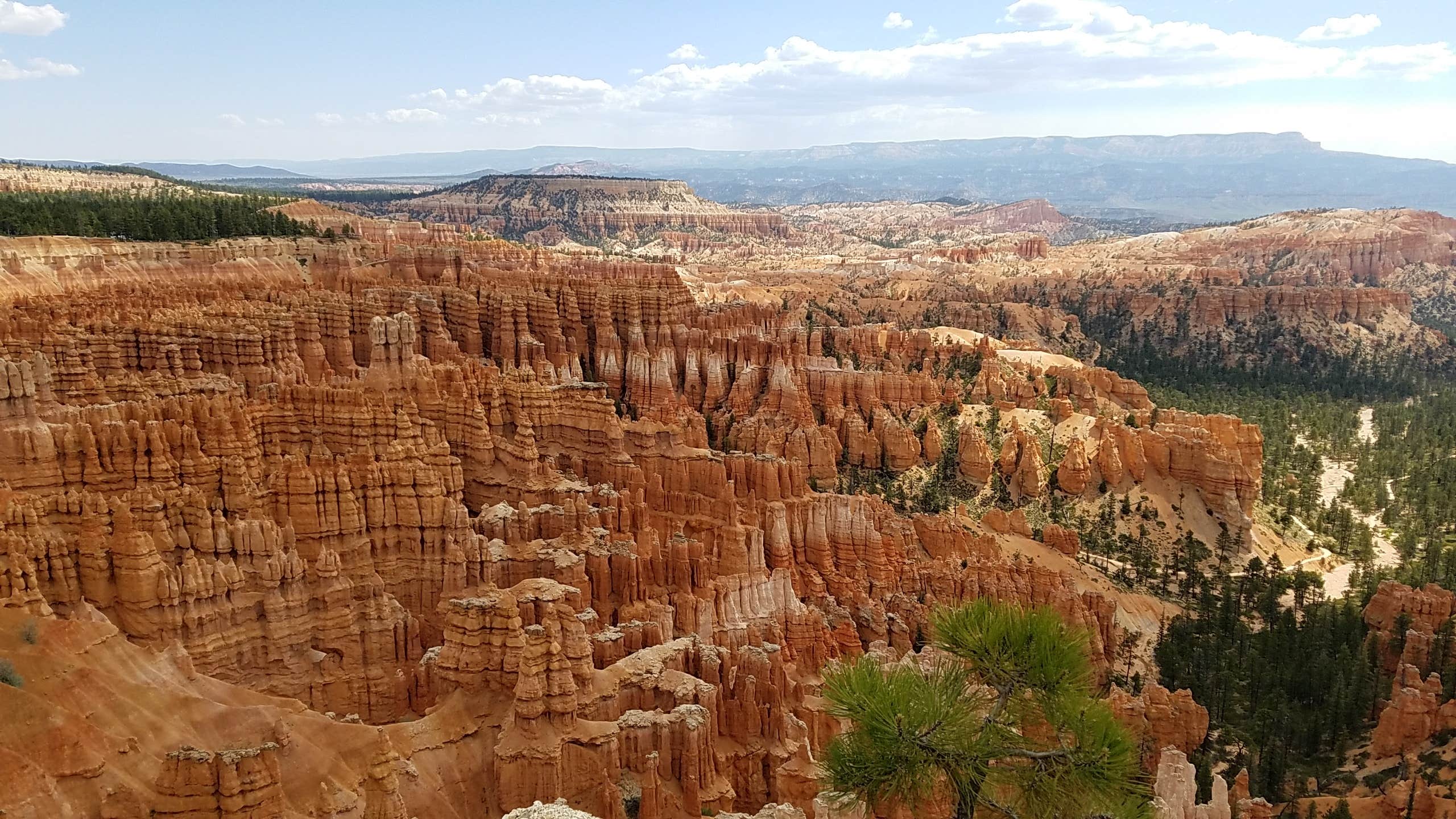 Camper-submitted photo at Sunset Campground — Bryce Canyon National Park near Bryce Canyon National Park