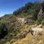 Review photo of Waterman Gap Trail Camp — Castle Rock State Park by Asher K., September 1, 2017