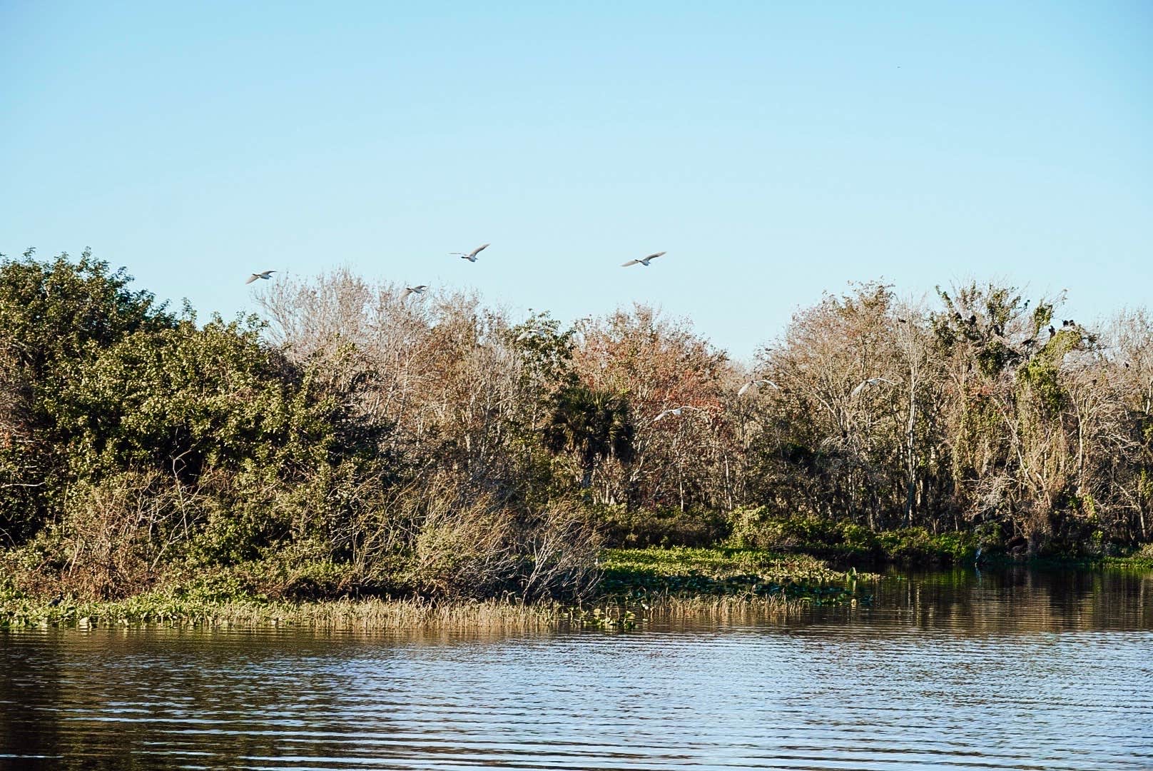 Camper-submitted photo at Lake Marian Resort RV & Mobile Home Park near Kenansville, FL